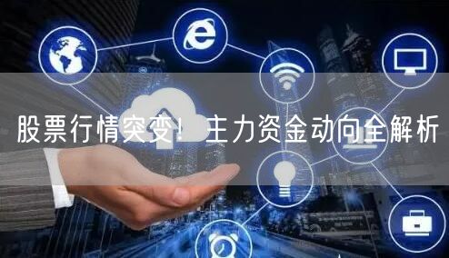 股票行情突变！主力资金动向全解析