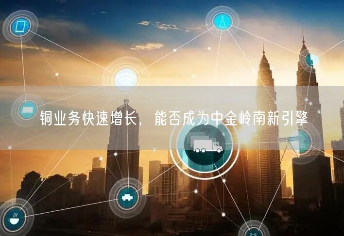 铜业务快速增长，能否成为中金岭南新引擎