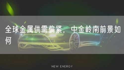 全球金属供需偏紧，中金岭南前景如何