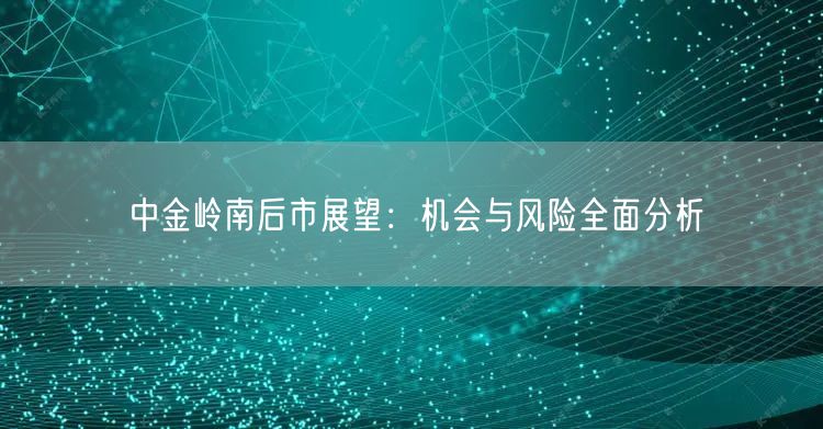 中金岭南后市展望：机会与风险全面分析