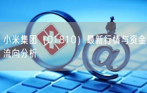 小米集团（01810）最新行情与资金流向分析