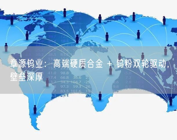 章源钨业：高端硬质合金 + 钨粉双轮驱动，壁垒深厚
