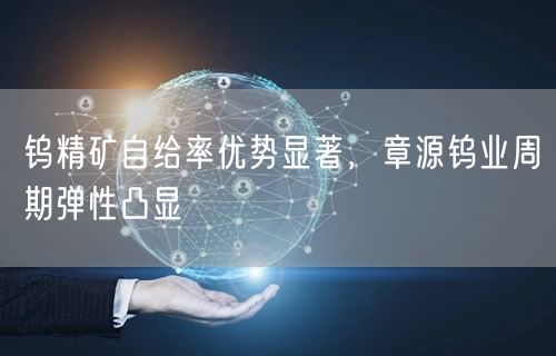 钨精矿自给率优势显著，章源钨业周期弹性凸显