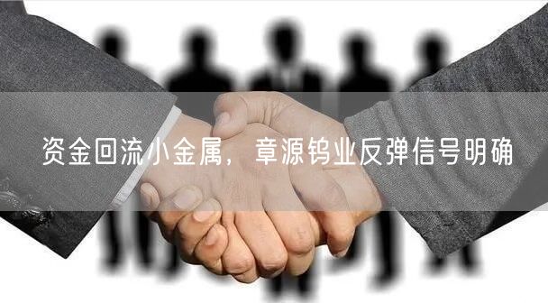 资金回流小金属，章源钨业反弹信号明确