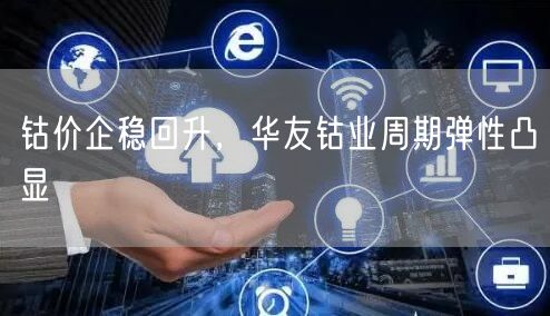 钴价企稳回升，华友钴业周期弹性凸显