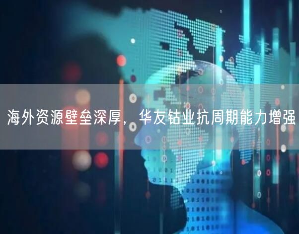海外资源壁垒深厚，华友钴业抗周期能力增强