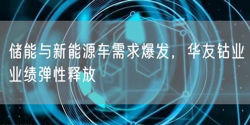 储能与新能源车需求爆发，华友钴业业绩弹性释放