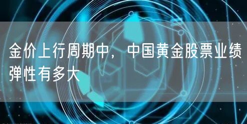 金价上行周期中，中国黄金股票业绩弹性有多大