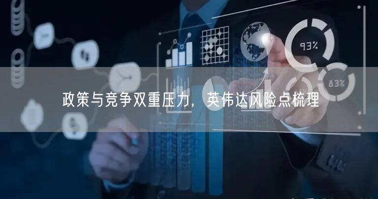 政策与竞争双重压力，英伟达风险点梳理