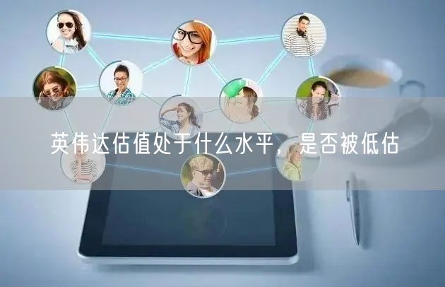 英伟达估值处于什么水平，是否被低估