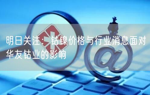明日关注：钴镍价格与行业消息面对华友钴业的影响