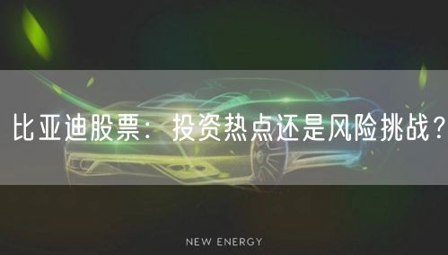 比亚迪股票：投资热点还是风险挑战？